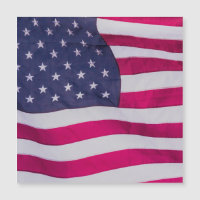 Bandeira Americana