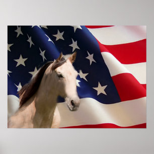Bandeira americana do poster do cavalo