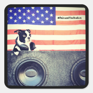Bandeira americana, etiqueta de Boston Terrier