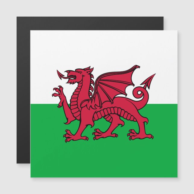 Bandeira Celta do Dragão Vermelho do País de Gales (Frente/Verso)