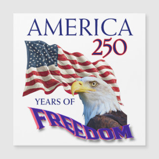 Bandeira da América 250 Anos de Liberdade com Águi