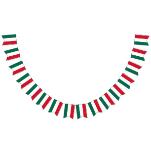 Bandeira da bandeira mexicana