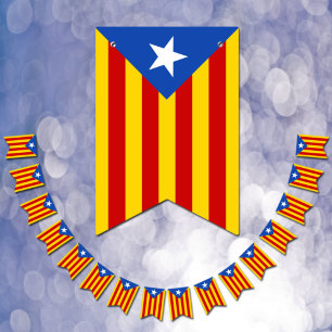 Bandeira da Catalunha, Festa La Senyera Estelada /