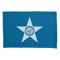 Bandeira da cidade de Houston, caso de Travesseiro