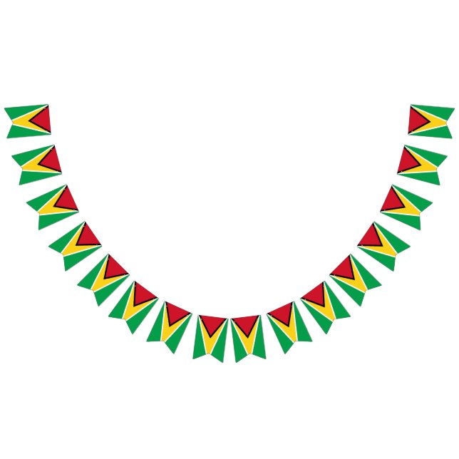 bandeira da Guiana (Todos)