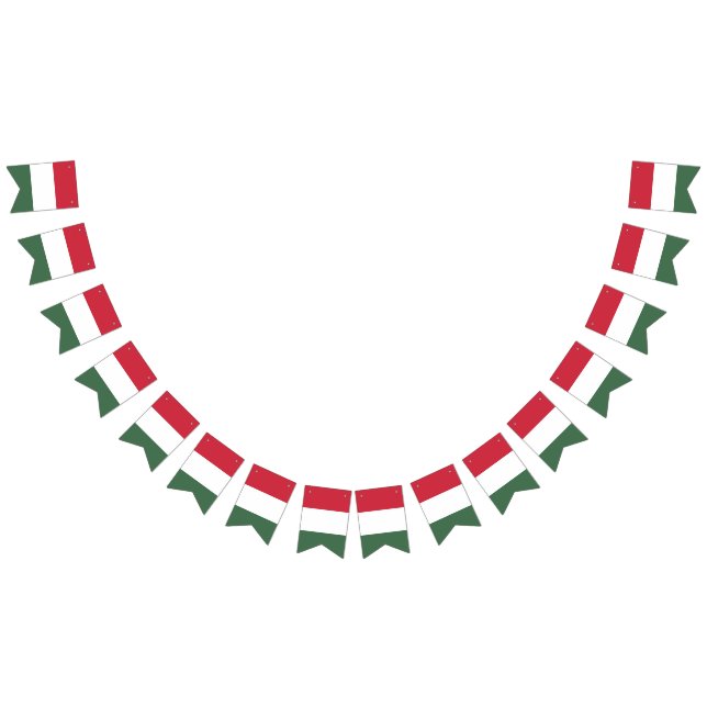 Bandeira da Hungria (Todos)