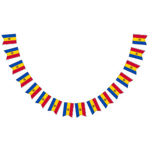 Bandeira da Moldávia