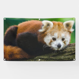 Bandeira da PANDA VERMELHA COM ILHÓS