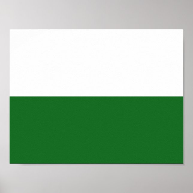 Bandeira da Saxónia Poster (Frente)