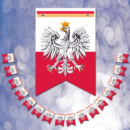 Bandeira de Bandeira e Polônia de Bandeiras Polone