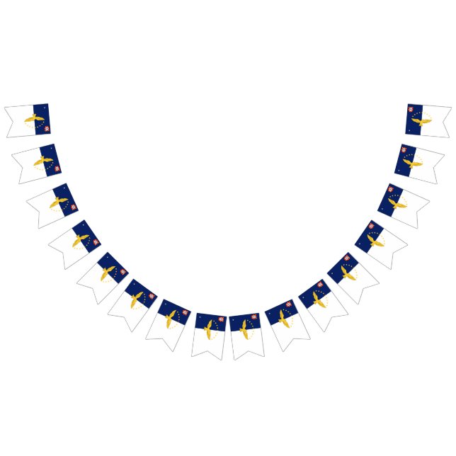 Bandeira de bundas das ilhas Açores (Todos)