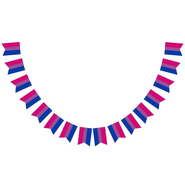 Bandeira de Bunting Bissexual Partido LGBT (Todos)