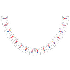 Bandeira de Bunting Color Remix de Aniversário Fel