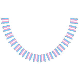 Bandeira de Bunting de Sinalizador Transgênero Par