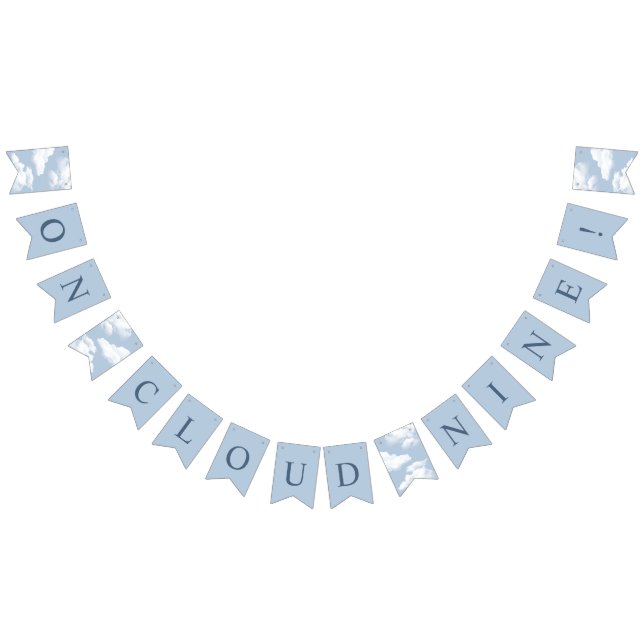 Bandeira de Festança de Solteira Na Nona Nuvem (Todos)