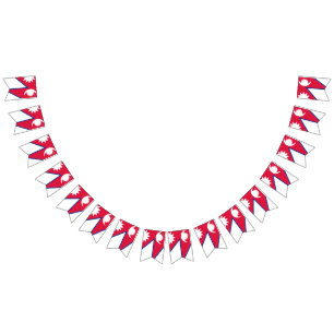 Bandeira de Nepal