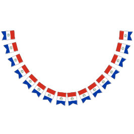 Bandeira de Paraguai