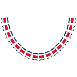 Bandeira de Rican da costela