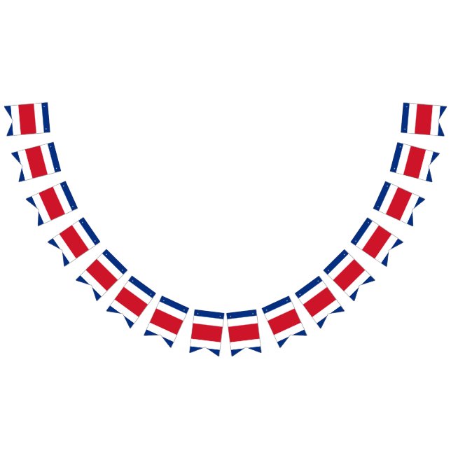 Bandeira de Rican da costela (Todos)