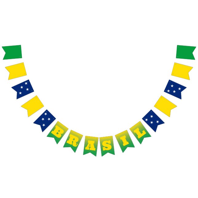 Bandeira do Brasil (Todos)