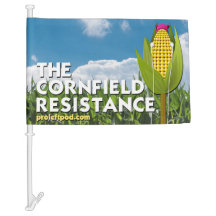 Bandeira do carro - a resistência do campo de