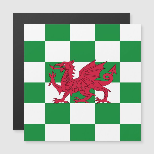 Bandeira do Dragão Céltico Vermelho Místico do Paí (Frente/Verso)