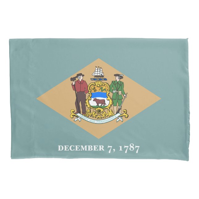 Bandeira do Estado de Delaware (DE, EUA) (Frente-Esquerda)
