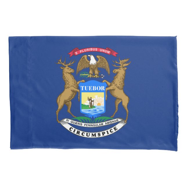Bandeira do estado de Michigan (Frente)