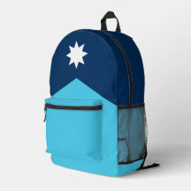 Bandeira do Estado do Minnesota