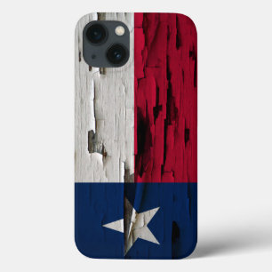 Bandeira do olhar da casca da pintura de Texas