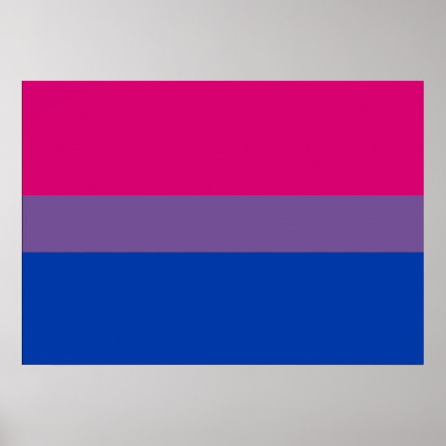 Bandeira do Orgulho Bissexual Poster (Frente)
