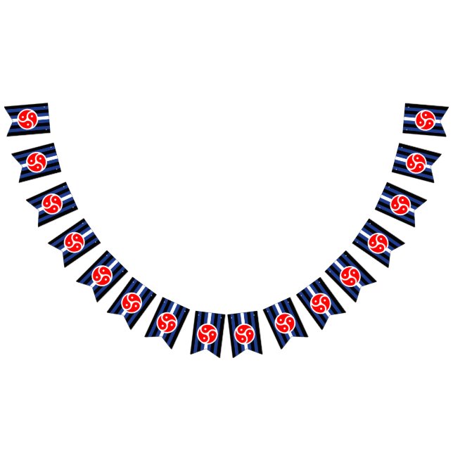 Bandeira do Orgulho da Prática de Couro (Todos)
