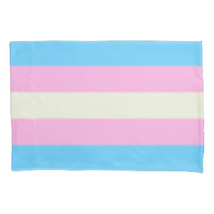 Bandeira do orgulho do Transgender de Falln