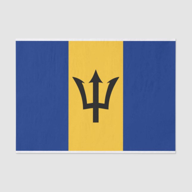 Bandeira do Papel Tecido de Barbados (Frente )