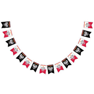 Bandeira do Partido Polonês, Bandeiras de Polônia/