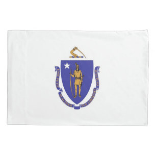Bandeira do Solteiro Patriótico de Massachusetts
