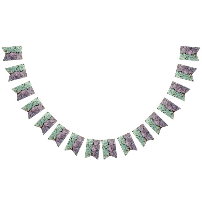 Bandeira do Succulent (Todos)