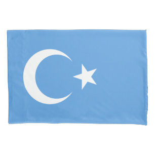 Bandeira do Uigur do Turquestão Oriental (Uyghuris