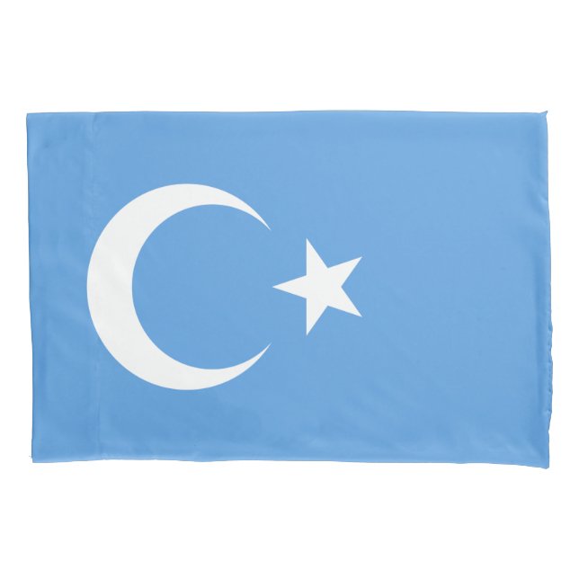 Bandeira do Uigur do Turquestão Oriental (Uyghuris (Frente-Esquerda)