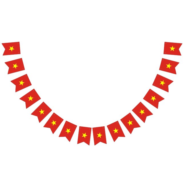 bandeira do Vietname (Todos)