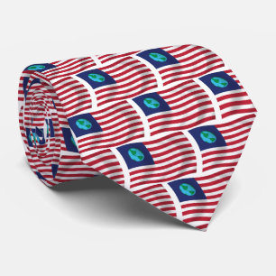 Bandeira dos Estados Unidos da Terra Gravata