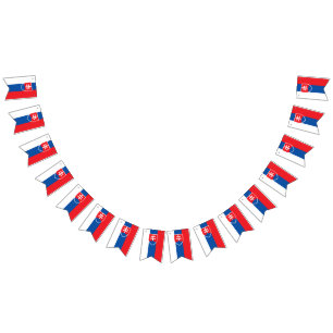 Bandeira eslovaca da bandeira