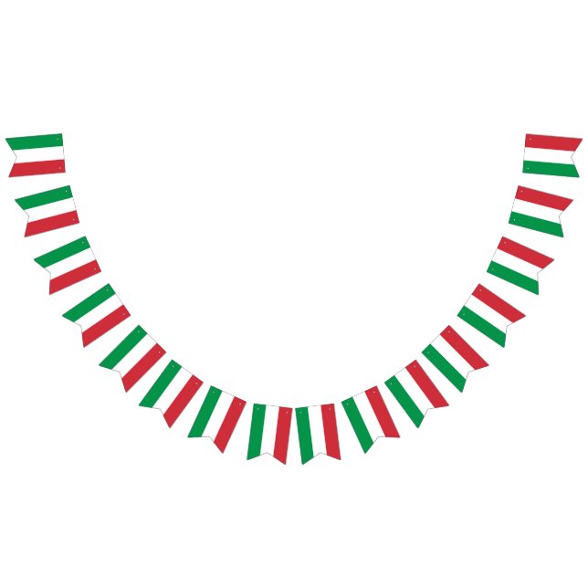 Bandeira França (Todos)