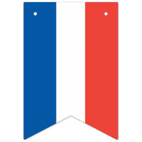 Bandeira francesa: Bandeira Tricolor do partido do