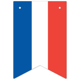 Bandeira francesa: Bandeira Tricolor do partido do