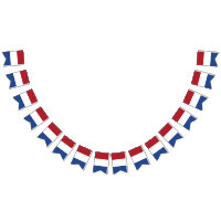 Bandeira Holandesa