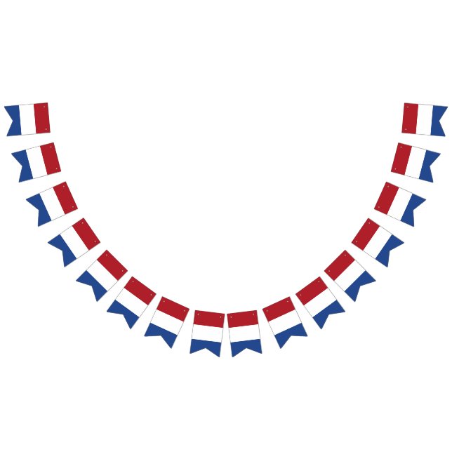 Bandeira Holandesa (Todos)