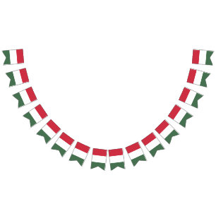 Bandeira húngara da bandeira