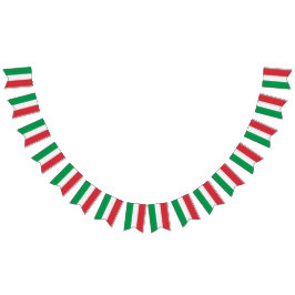 Bandeira italiana, bandeira do partido com a