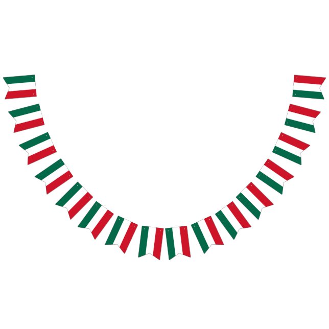 Bandeira mexicana (Todos)